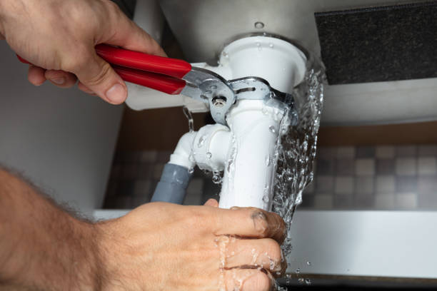 Best Professional water damage repair  in Woodlawn, MD