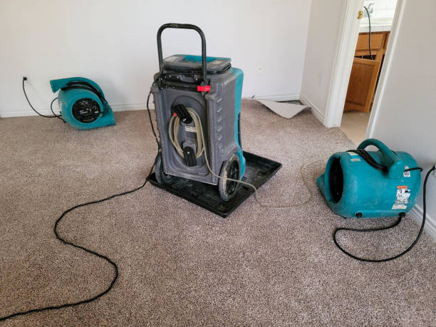 Water damage restoration mold remediation in MD