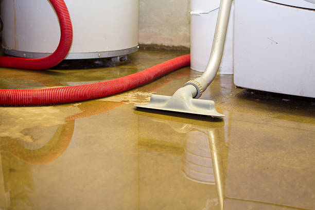 Best Commercial water damage restoration  in Woodlawn, MD