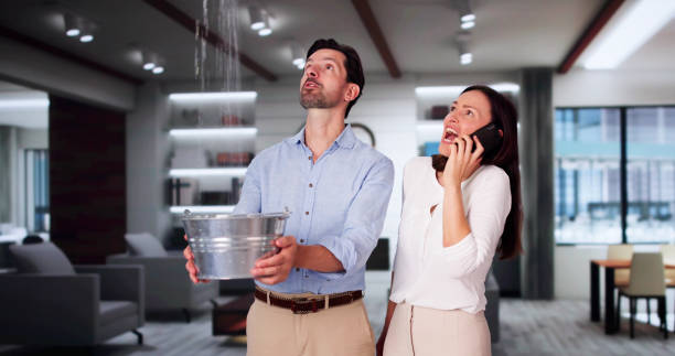 Best Water damage restoration near me  in Woodlawn, MD